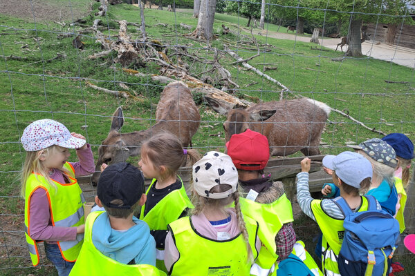 kindergarten WA
