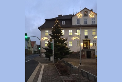 Rathaus Weihnachtsbaum _Vorschau